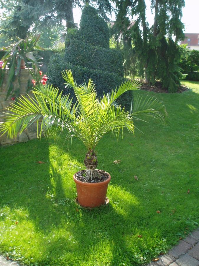 Ferienwohnung "Am Geiseltal" Merseburg Esterno foto